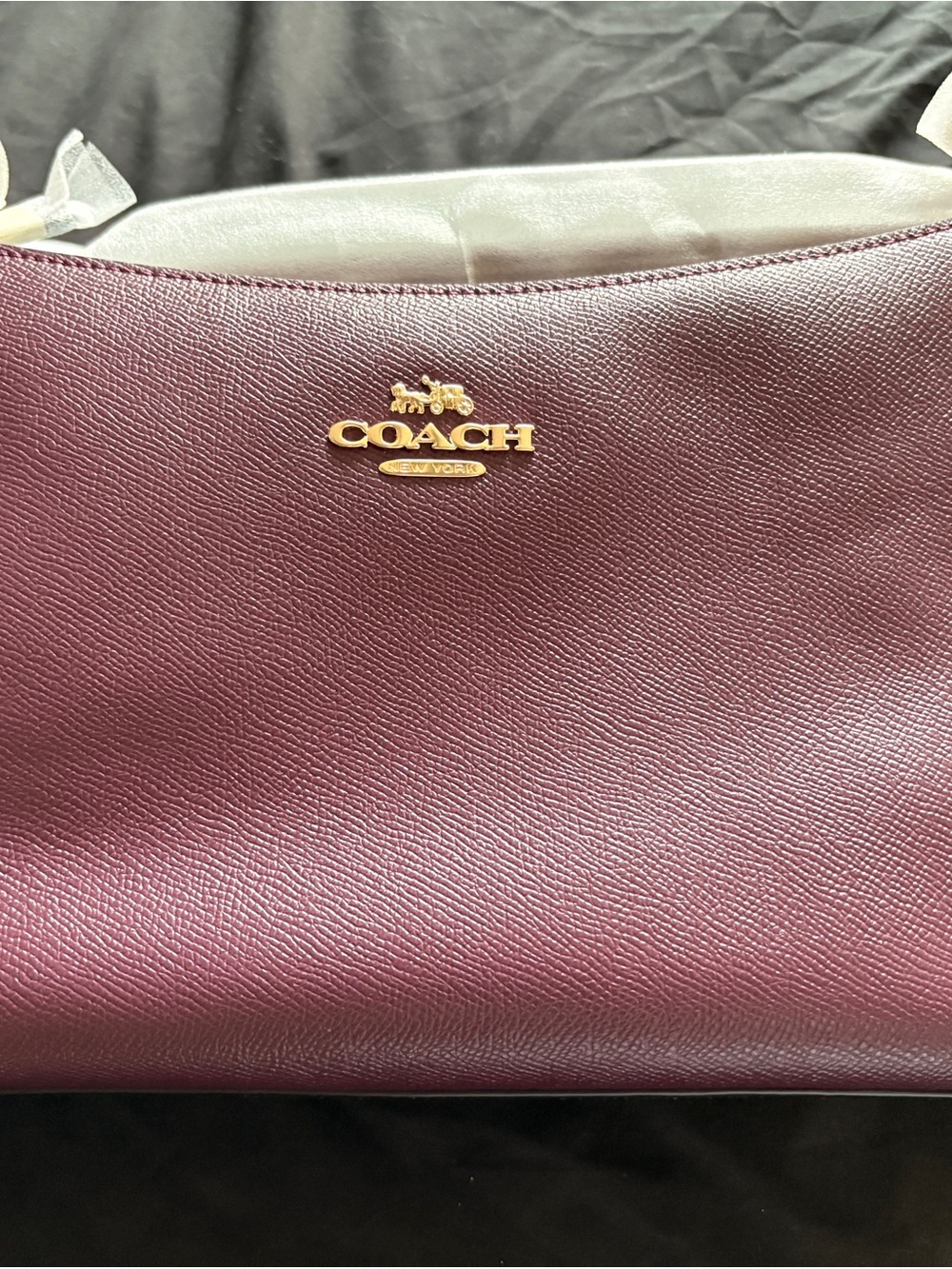 Coach Lewis Crossbody/ Shoulder Bag - Rasin with Gold Hardware - Picture 3 of 7